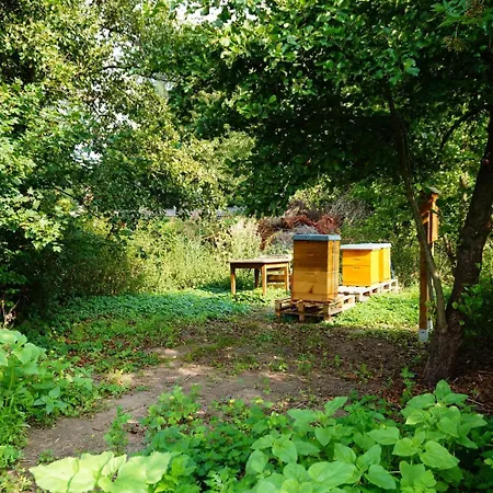 Am Tierpark