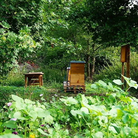 Otel Am Tierpark Güstrow