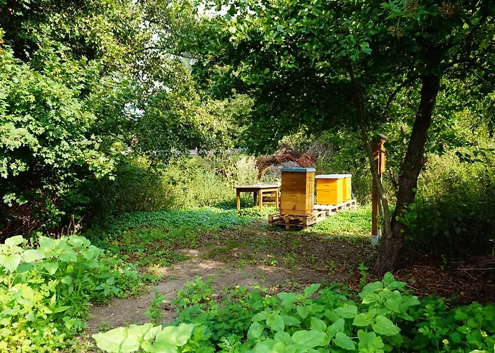 Am Tierpark